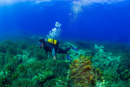 Plongée-sous-marine
