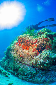 Plongée-sous-marine