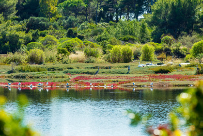 Lérins, Sainte-Marguerite