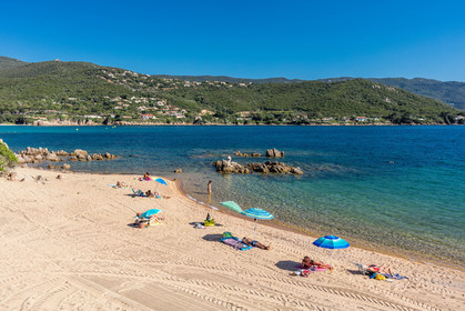 Pietrosella