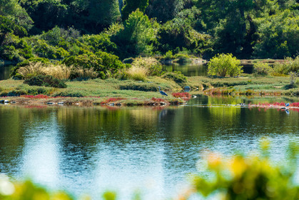 Lérins, Sainte-Marguerite