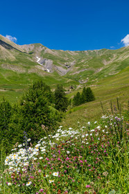 La Foux d'Allos