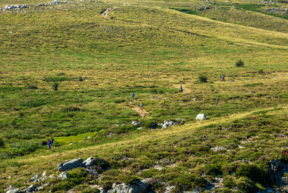 Plateau du Coscione
