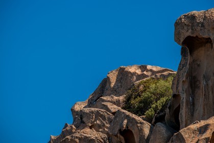 Capo d'Orso