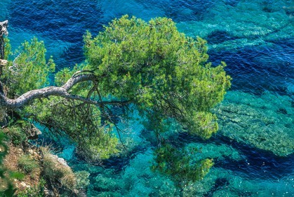 Rayol-Canadel-sur-Mer