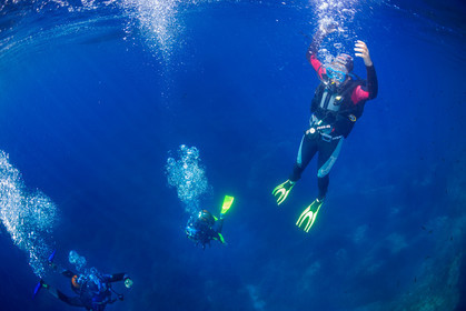 Plongée-sous-marine