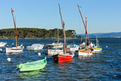 Le Brusc