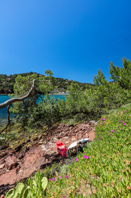 Plage de Fabrégas