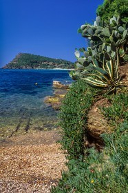 Rayol-Canadel-sur-Mer