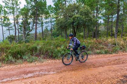 Bikingman