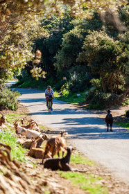 Bikingman Corsica 2019