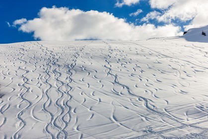 Auron