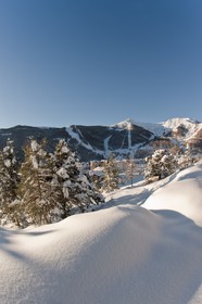 Auron