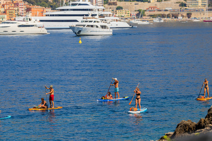 Paddle