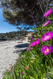 Plage de Fabrégas