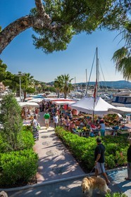 Bandol