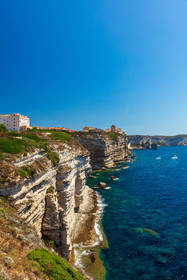 Bonifacio
