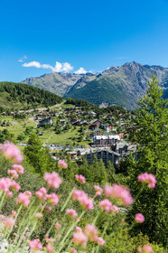 Auron