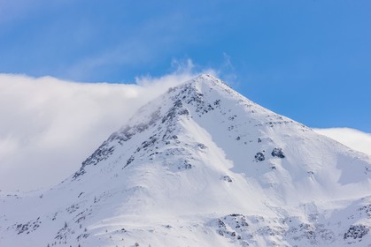 Auron