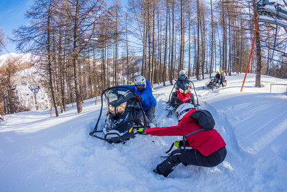 Skidoo