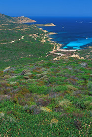 POINTE DE LA REVELLATA - CALVI - 20 CORSE FRANCE