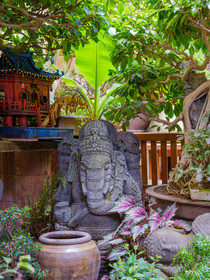 Bonsai Center