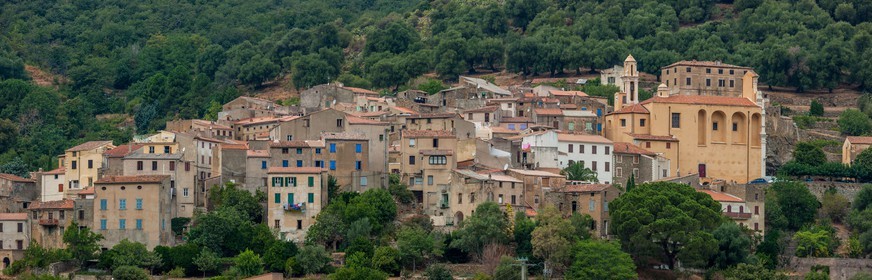 Muro