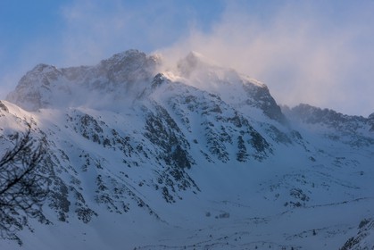 Auron