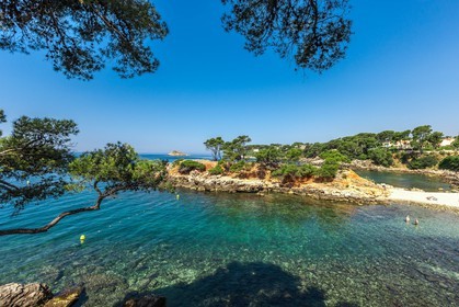 Bandol