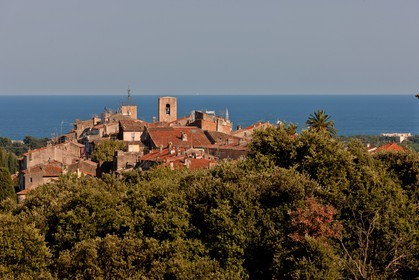 Biot