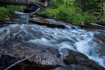 Torrent