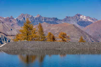 Auron