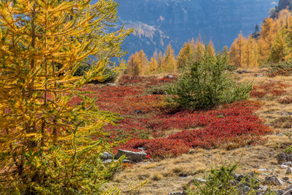 Col de la Moutière