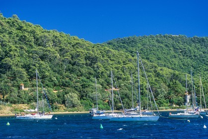.Port-Cros