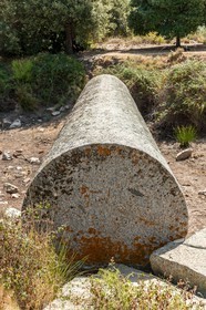 Corbara