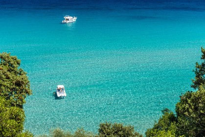 Canella