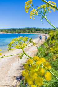 Lérins Sainte-Marguerite 2024