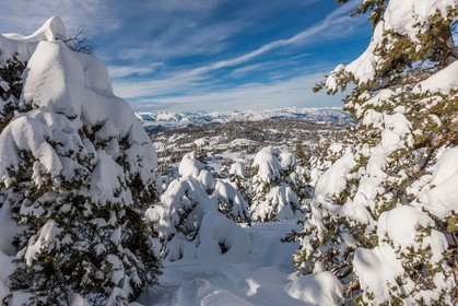 Gréolières-les-Neiges