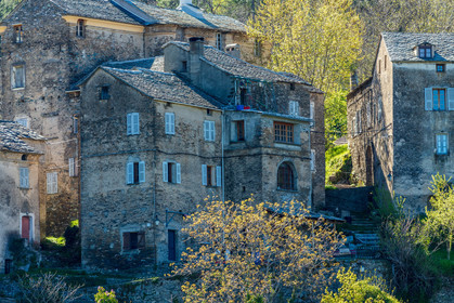 Saliceto