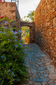 Pigna