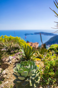 Eze Jardin exotique