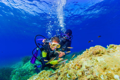Plongée-sous-marine