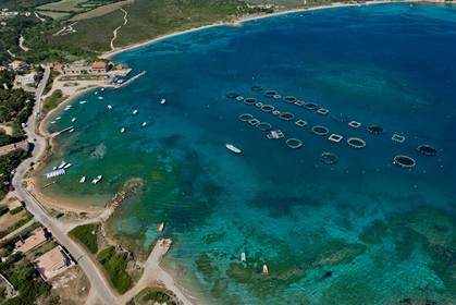 Sant'Amanza