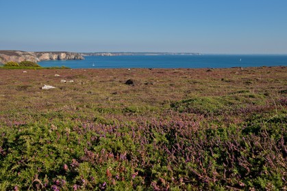Pointe de Penhir
