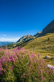 Col des Champs