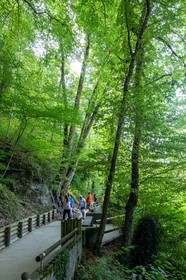 Gorges du Fier