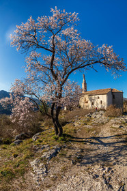 Castellane