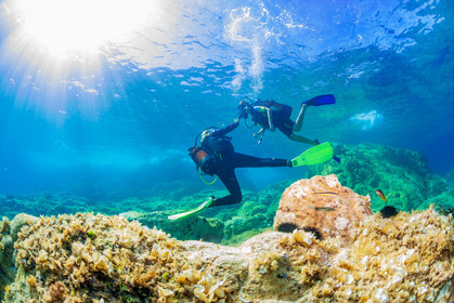 Plongée-sous-marine