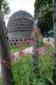 Trans-en-Provence
