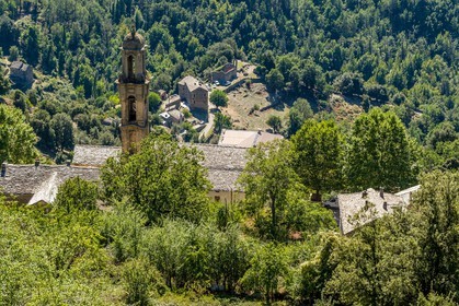 Morosaglia
